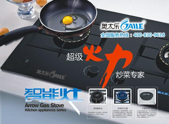 奧太樂 中國廚衛電器領先品牌