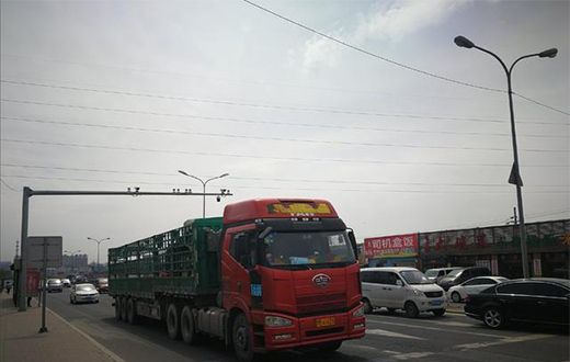光明照亮生活，路燈照亮前方的道路