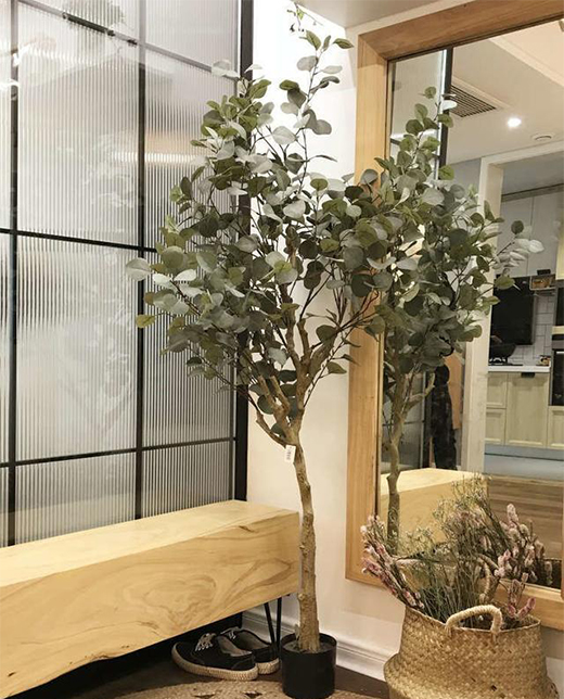 打造富有生命力的現(xiàn)代陽光房
