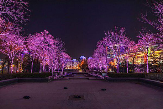 公園亮化工程如何做才能滿足人們的視覺需求?