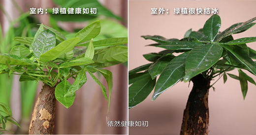 美的理想家中央空調極寒硬核制熱挑戰:強勁制熱,讓寒冬頃刻變暖春!